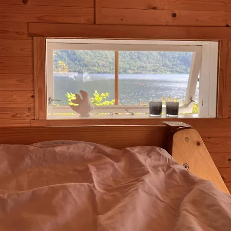 With Shoreline By Brusdalsvannet Holiday home