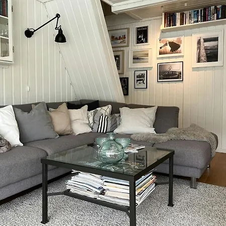Holiday home With Shoreline By Brusdalsvannet *